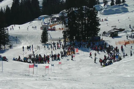 Skikurs Erwachsene  Bild 7